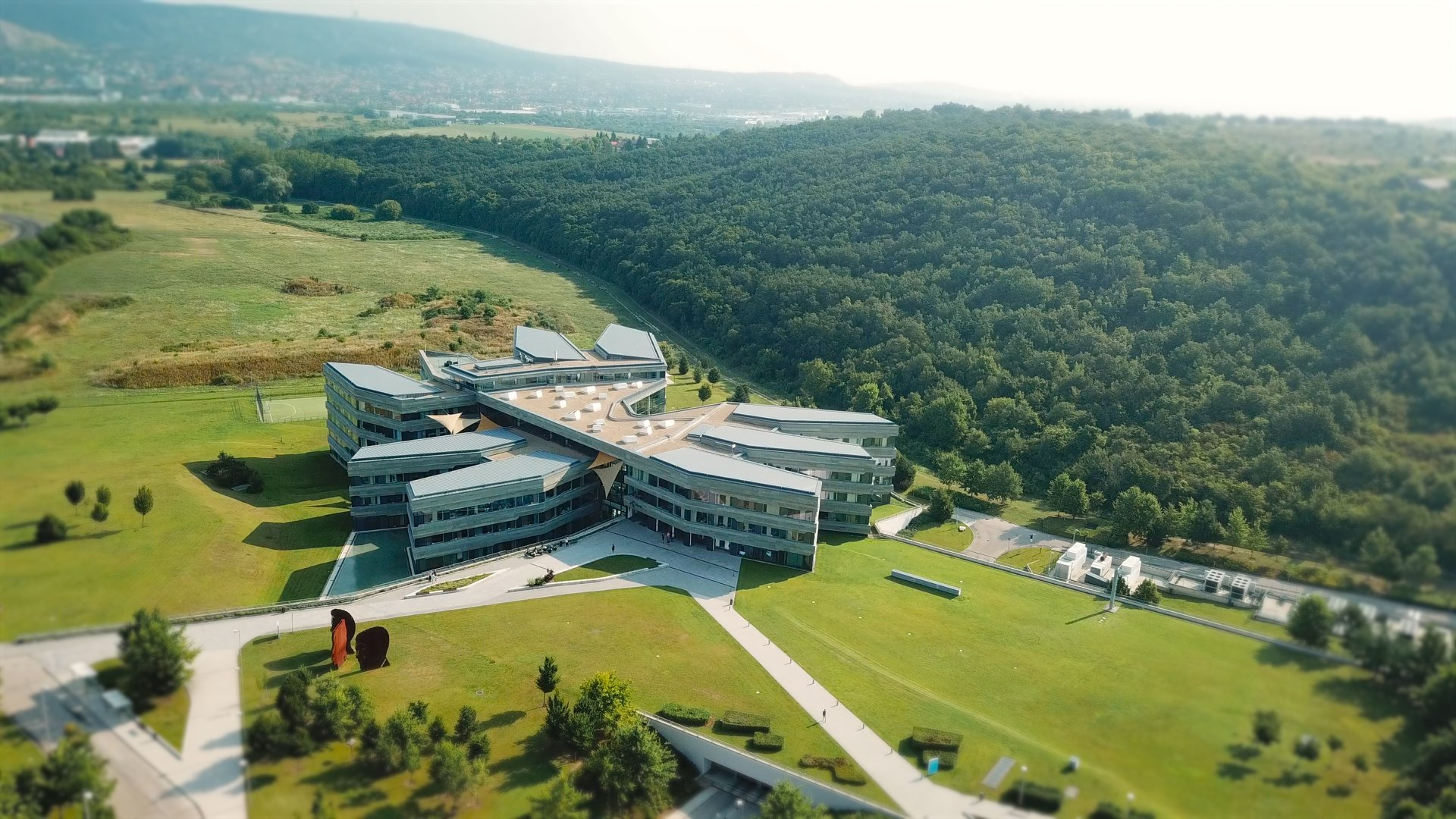 68672597_10157245342706125_231140206269431808_o